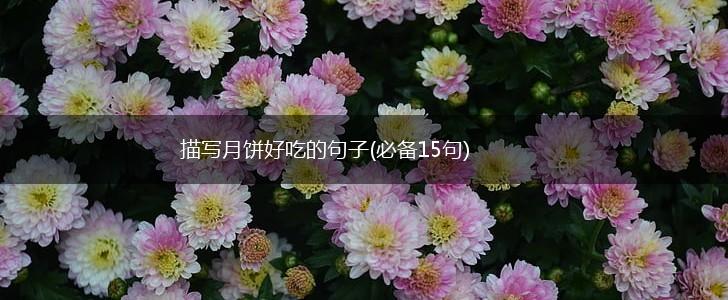 描写月饼好吃的句子(必备15句),第1张