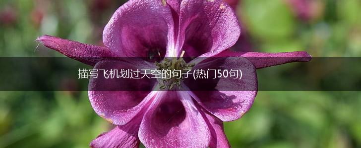 描写飞机划过天空的句子(热门50句),第1张