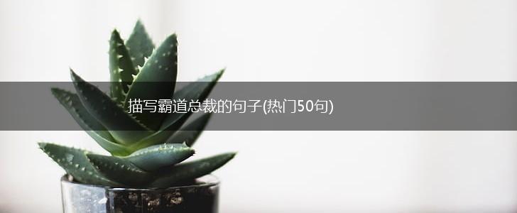 描写霸道总裁的句子(热门50句),第1张