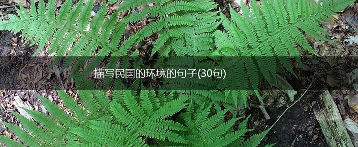 描写民国的环境的句子(30句),第1张