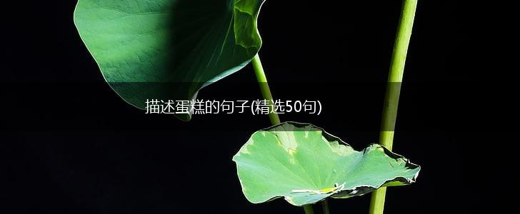 描述蛋糕的句子(精选50句),第1张