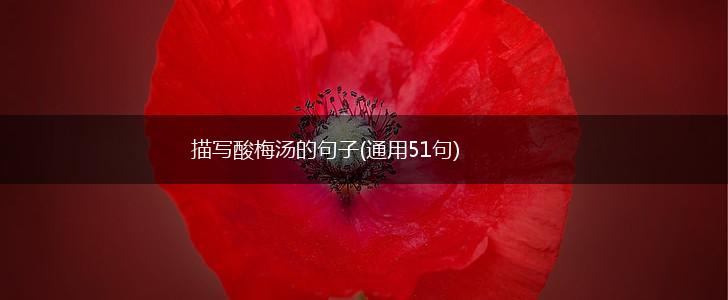 描写酸梅汤的句子(通用51句),第1张