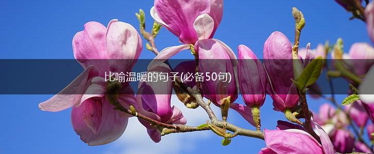 比喻温暖的句子(必备50句),第1张