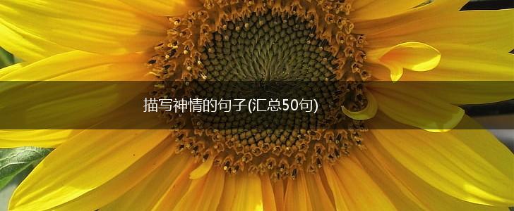 描写神情的句子(汇总50句),第1张 描写神情的句子(汇总50句),第1张