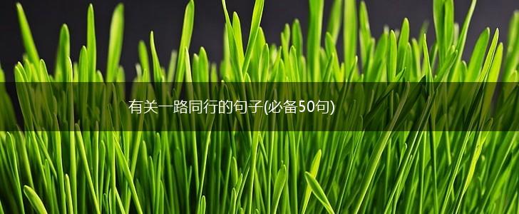 有关一路同行的句子(必备50句),第1张