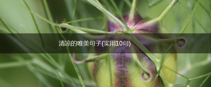 清凉的唯美句子(实用10句),第1张