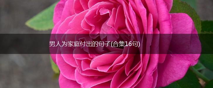 男人为家庭付出的句子(合集16句),第1张