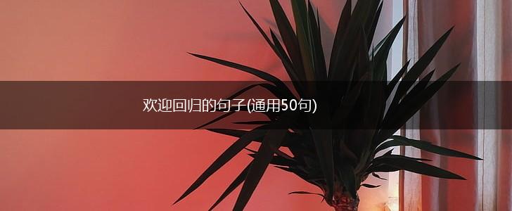欢迎回归的句子(通用50句),第1张