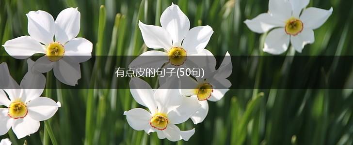 有点皮的句子(50句),第1张