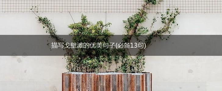 描写戈壁滩的优美句子(必备13句),第1张