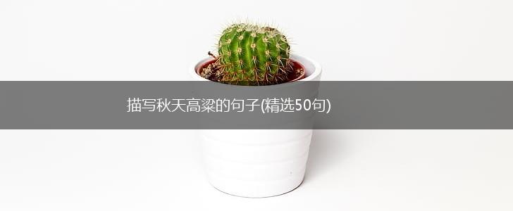 描写秋天高粱的句子(精选50句),第1张