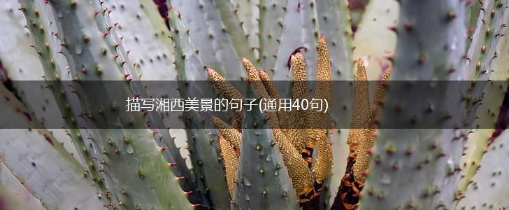 描写湘西美景的句子(通用40句),第1张