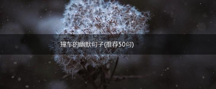 撞车的幽默句子(推荐50句),第1张