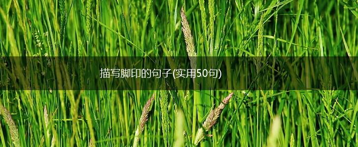 描写脚印的句子(实用50句),第1张