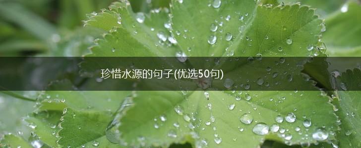 珍惜水源的句子(优选50句),第1张