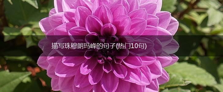 描写珠穆朗玛峰的句子(热门10句),第1张