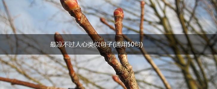 最凉不过人心类似句子(通用50句),第1张