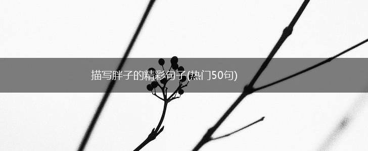 描写胖子的精彩句子(热门50句),第1张