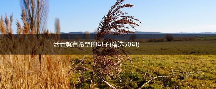 活着就有希望的句子(精选50句),第1张