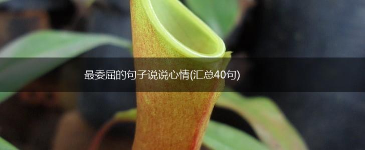 最委屈的句子说说心情(汇总40句),第1张