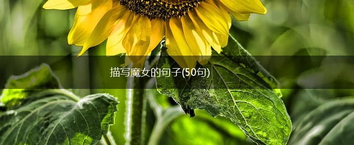 描写魔女的句子(50句),第1张