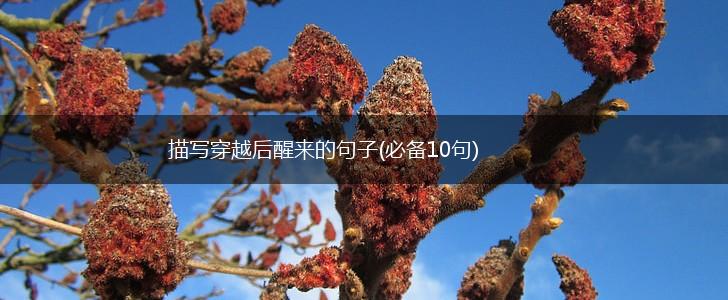 描写穿越后醒来的句子(必备10句),第1张
