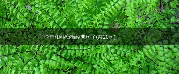 李雷和韩梅梅经典句子(共20句),第1张