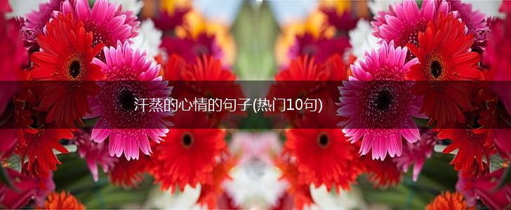 汗蒸的心情的句子(热门10句),第1张