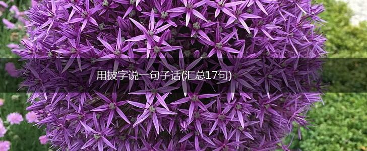 用披字说一句子话(汇总17句),第1张