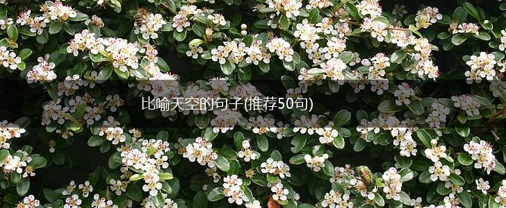 比喻天空的句子(推荐50句),第1张