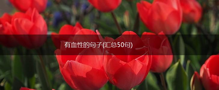 有血性的句子(汇总50句),第1张