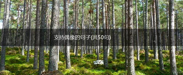 支持偶像的句子(共50句),第1张