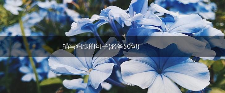 描写鸡腿的句子(必备50句),第1张