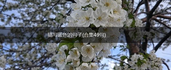 描写蓝色的句子(合集49句),第1张