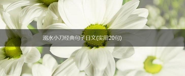 溺水小刀经典句子日文(实用20句),第1张