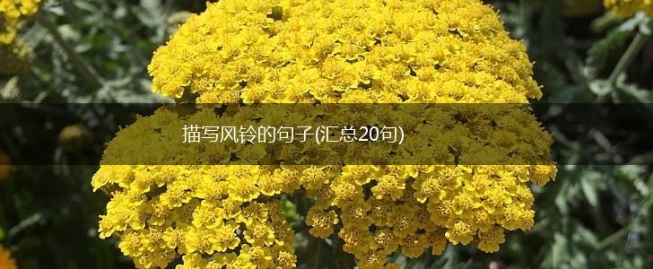 描写风铃的句子(汇总20句),第1张
