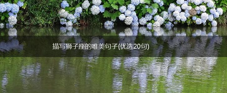 描写狮子座的唯美句子(优选20句),第1张