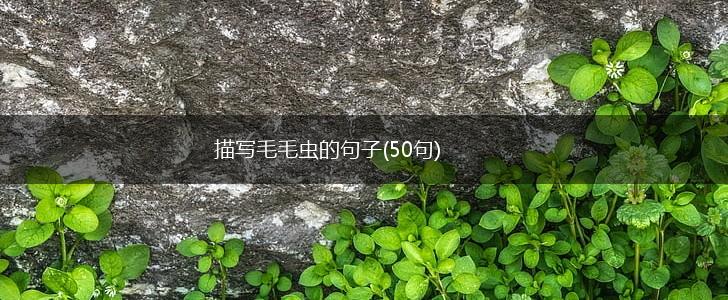描写毛毛虫的句子(50句),第1张
