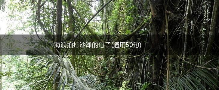 海浪拍打沙滩的句子(通用50句),第1张