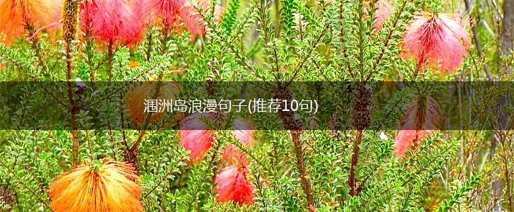 涠洲岛浪漫句子(推荐10句),第1张 涠洲岛浪漫句子(推荐10句),第1张