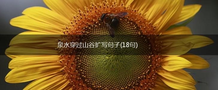 泉水穿过山谷扩写句子(18句),第1张