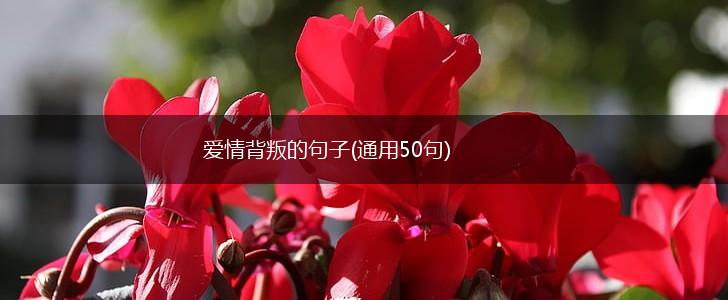 爱情背叛的句子(通用50句),第1张