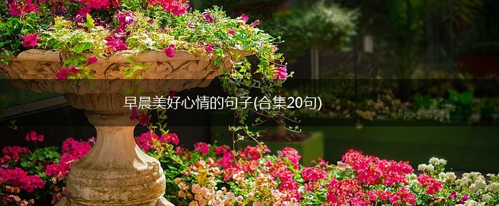 早晨美好心情的句子(合集20句),第1张