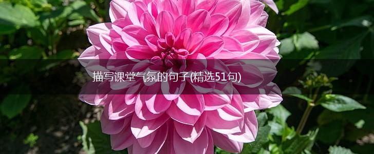描写课堂气氛的句子(精选51句),第1张