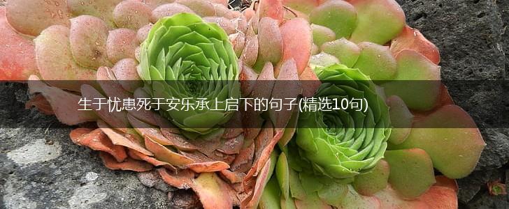 生于忧患死于安乐承上启下的句子(精选10句),第1张