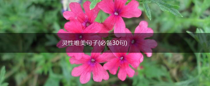 灵性唯美句子(必备30句),第1张