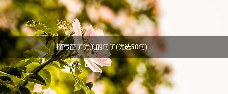 描写笛子优美的句子(优选50句),第1张