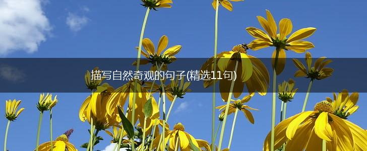 描写自然奇观的句子(精选11句),第1张