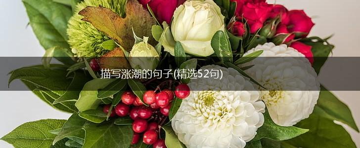描写涨潮的句子(精选52句),第1张