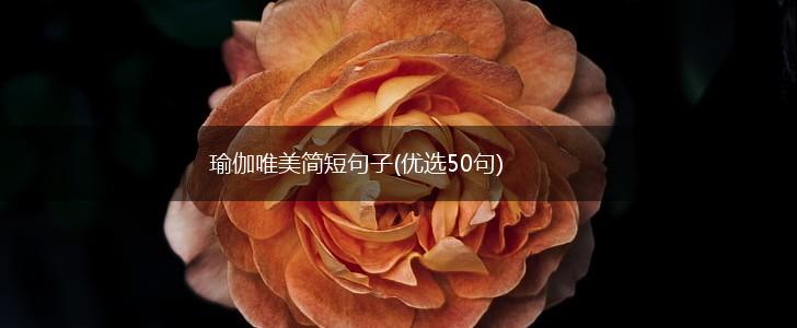 瑜伽唯美简短句子(优选50句),第1张